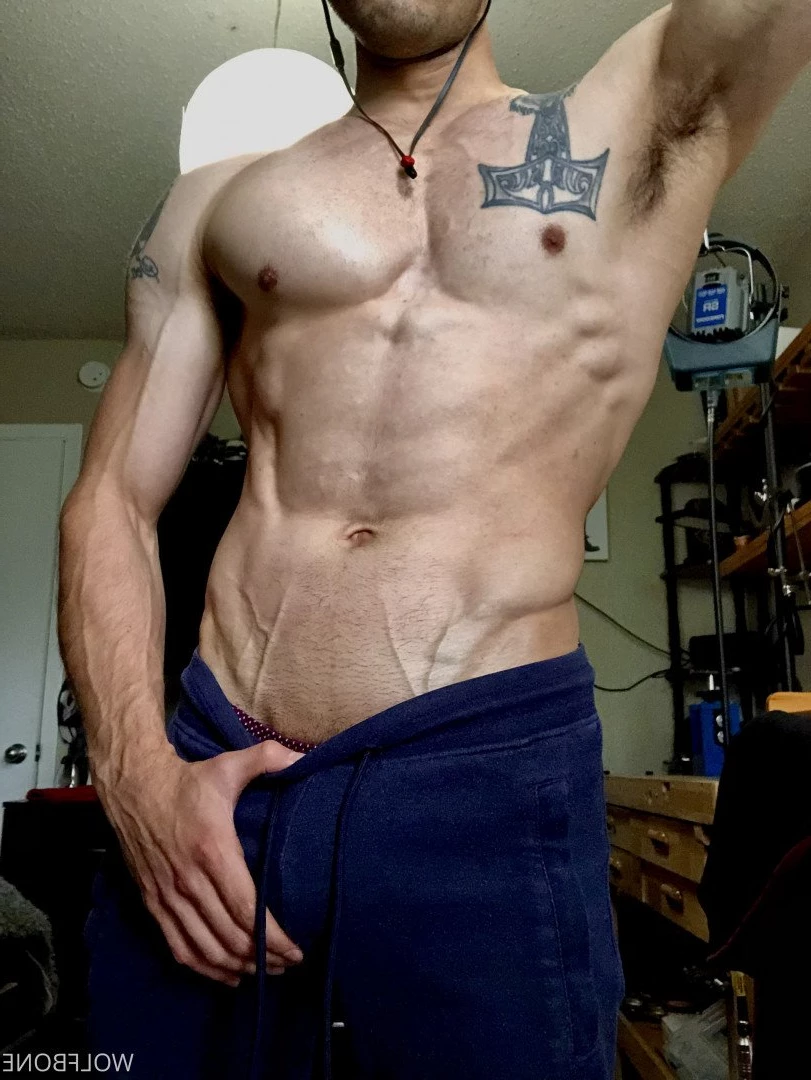 Mr. Wolf 🐺 🌟 [ frute_brute ] Onlyfans leaked photo 3194558 on Hotleaks.tv