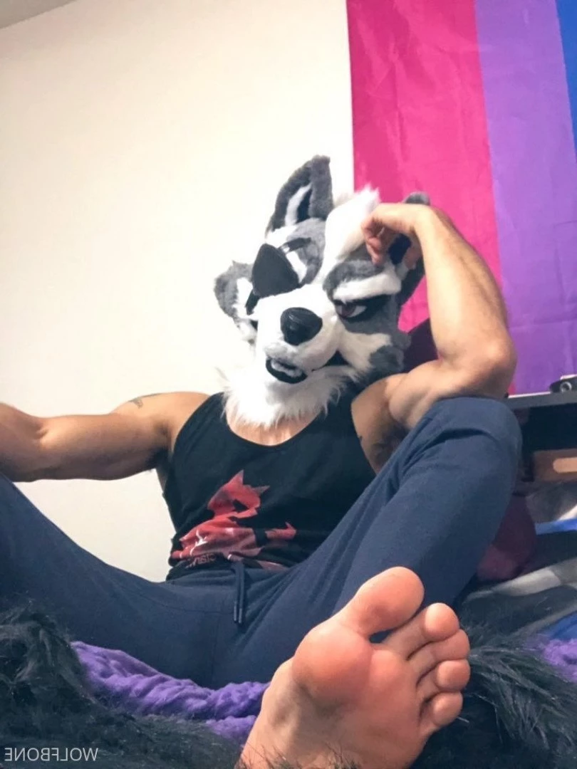 Mr. Wolf 🐺 🌟 [ frute_brute ] Onlyfans leaked photo 3194574 on Hotleaks.tv