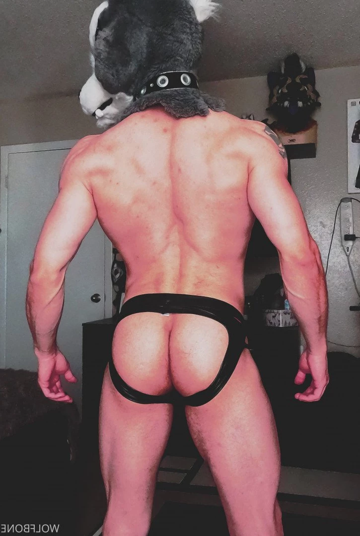 Mr. Wolf 🐺 🌟 [ frute_brute ] Onlyfans leaked photo 3194624 on Hotleaks.tv