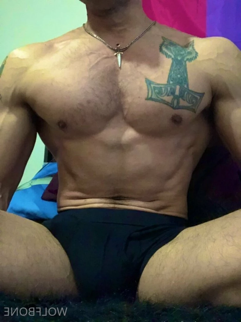 Mr. Wolf 🐺 🌟 [ frute_brute ] Onlyfans leaked photo 3194738 on Hotleaks.tv
