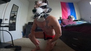 Mr. Wolf 🐺 🌟 [ frute_brute ] Onlyfans leaked video 3372673 on Hotleaks.tv