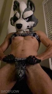 Mr. Wolf 🐺 🌟 [ frute_brute ] Onlyfans leaked video 3372708 on Hotleaks.tv
