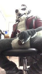 Mr. Wolf 🐺 🌟 [ frute_brute ] Onlyfans leaked video 3372720 on Hotleaks.tv