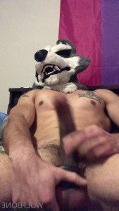Mr. Wolf 🐺 🌟 [ frute_brute ] Onlyfans leaked video 3372770 on Hotleaks.tv