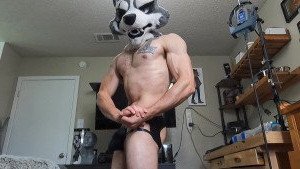 Mr. Wolf 🐺 🌟 [ frute_brute ] Onlyfans leaked video 3372794 on Hotleaks.tv