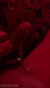 Mr. Wolf 🐺 🌟 [ frute_brute ] Onlyfans leaked video 3372796 on Hotleaks.tv
