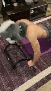 Mr. Wolf 🐺 🌟 [ frute_brute ] Onlyfans leaked video 3372798 on Hotleaks.tv