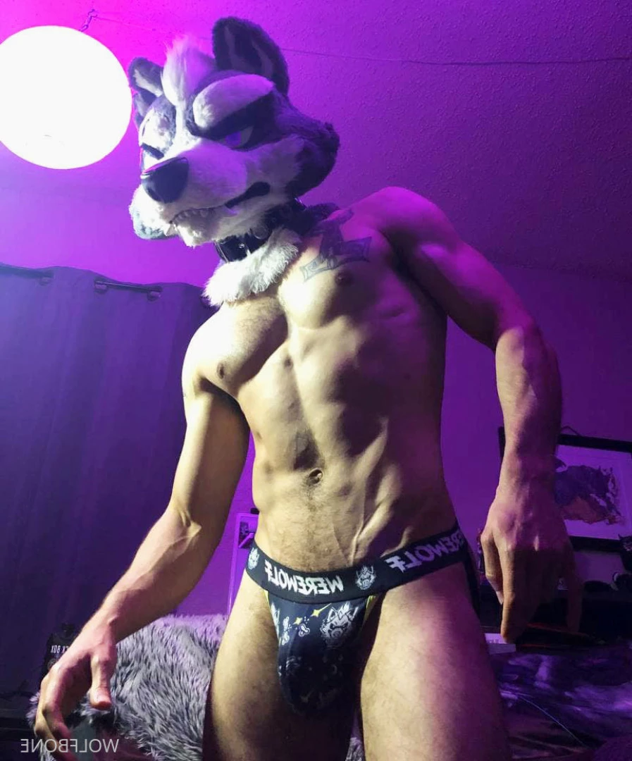 Mr. Wolf 🐺 🌟 [ frute_brute ] Onlyfans leaked photo 5824544 on Hotleaks.tv