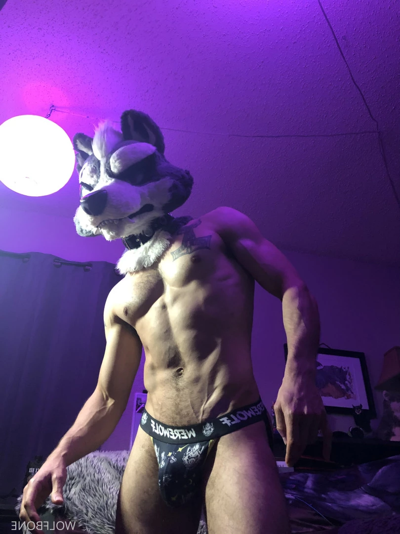 Mr. Wolf 🐺 🌟 [ frute_brute ] Onlyfans leaked photo 5824584 on Hotleaks.tv