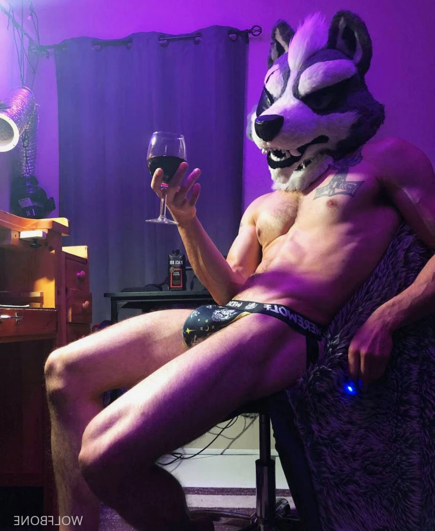 Mr. Wolf 🐺 🌟 [ frute_brute ] Onlyfans leaked photo 5824593 on Hotleaks.tv