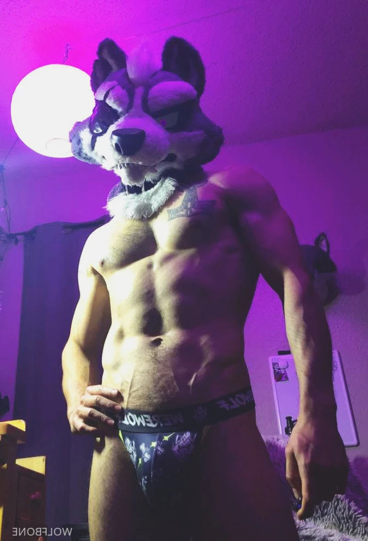 Mr. Wolf 🐺 🌟 [ frute_brute ] Onlyfans leaked photo 5824648 on Hotleaks.tv