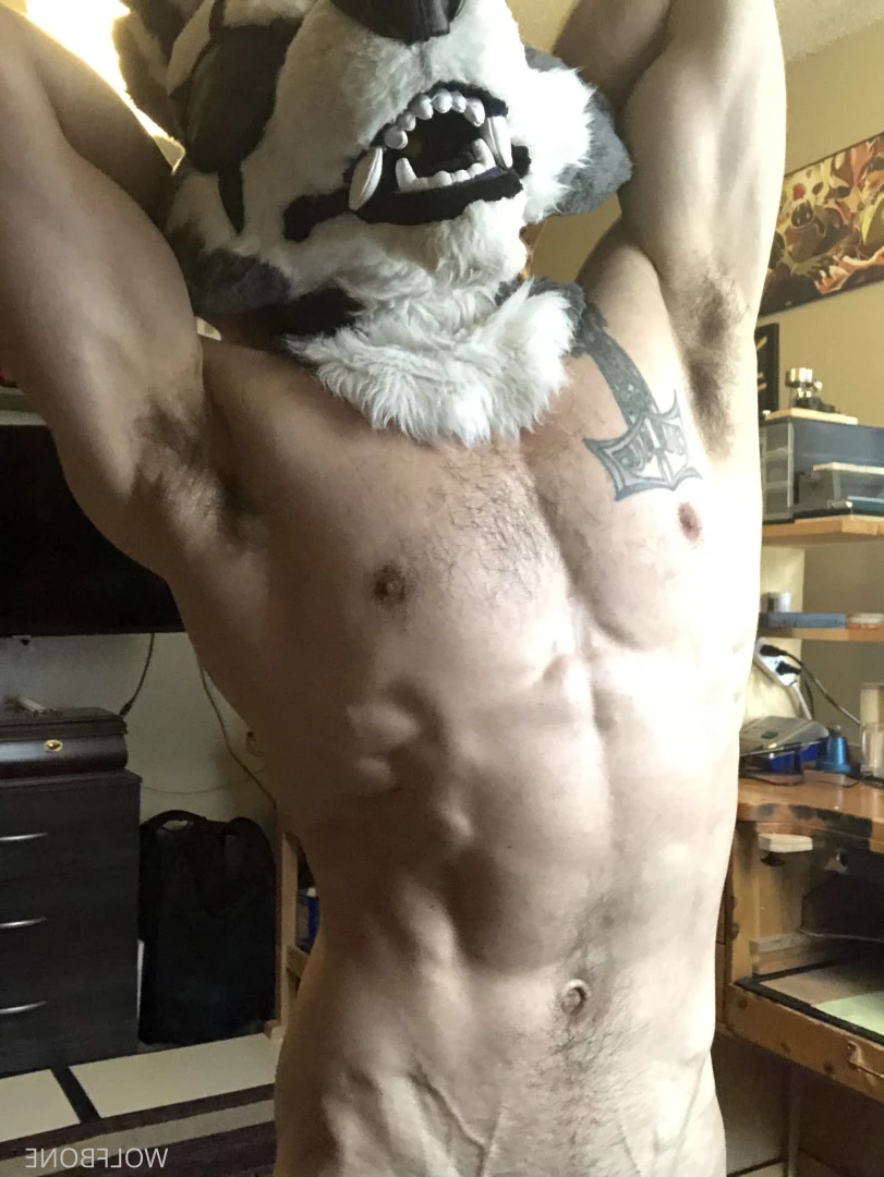 Mr. Wolf 🐺 🌟 [ frute_brute ] Onlyfans leaked photo 5824688 on Hotleaks.tv