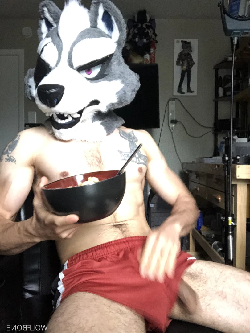 Mr. Wolf 🐺 🌟 [ frute_brute ] Onlyfans leaked photo 5824735 on Hotleaks.tv
