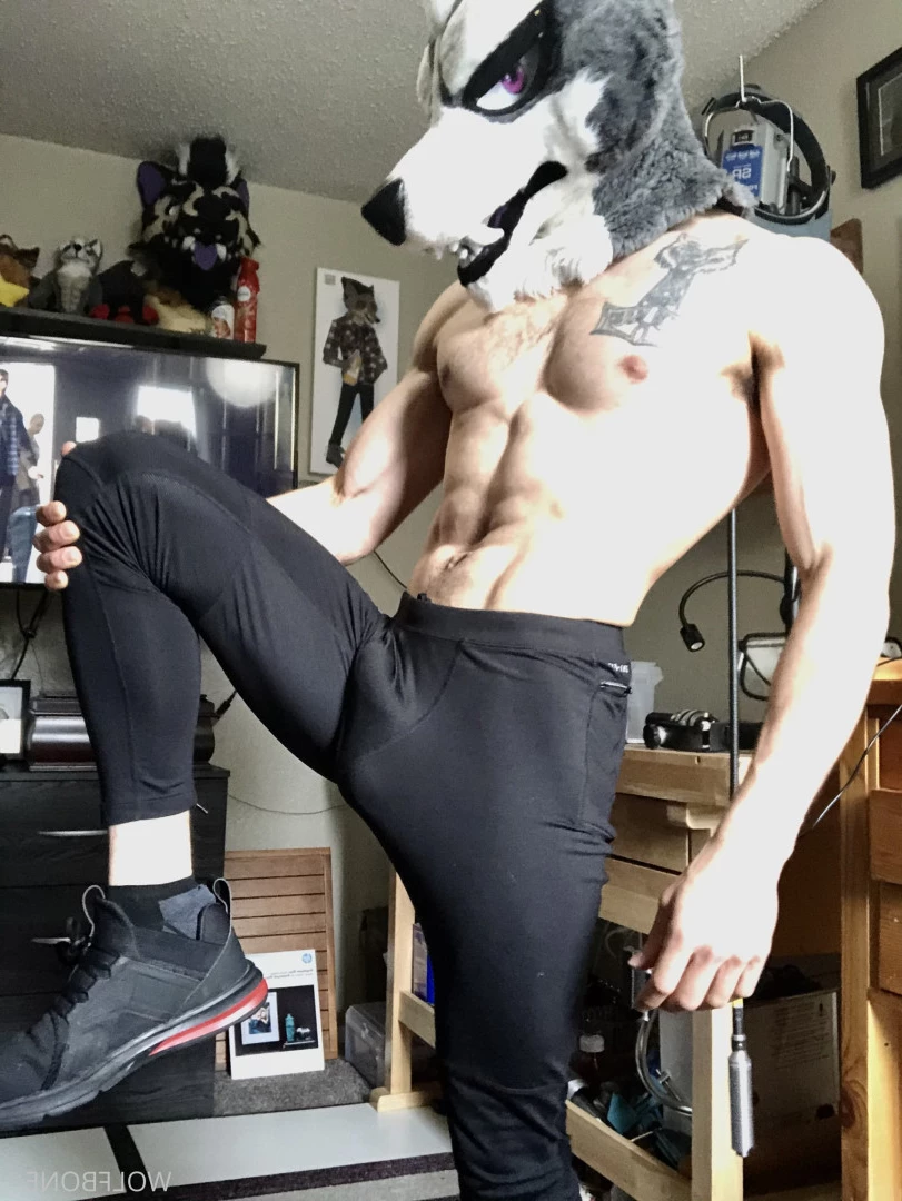 Mr. Wolf 🐺 🌟 [ frute_brute ] Onlyfans leaked photo 5824746 on Hotleaks.tv