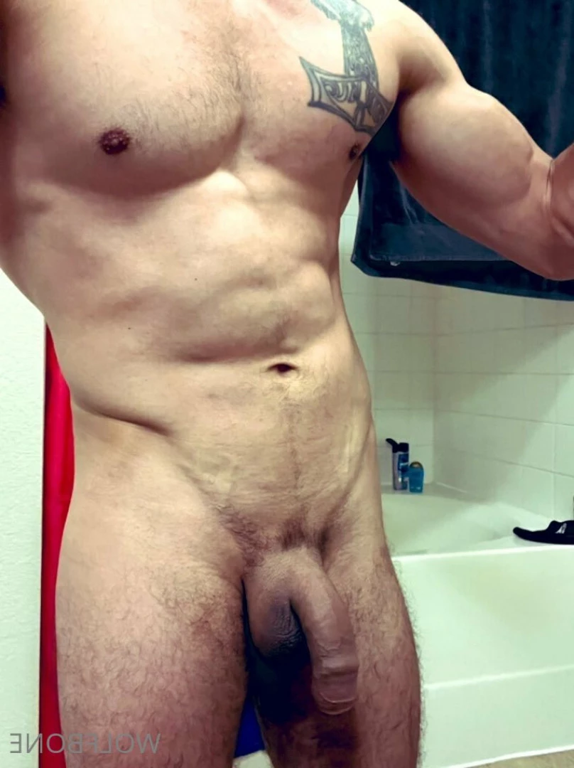 Mr. Wolf 🐺 🌟 [ frute_brute ] Onlyfans leaked photo 5824822 on Hotleaks.tv