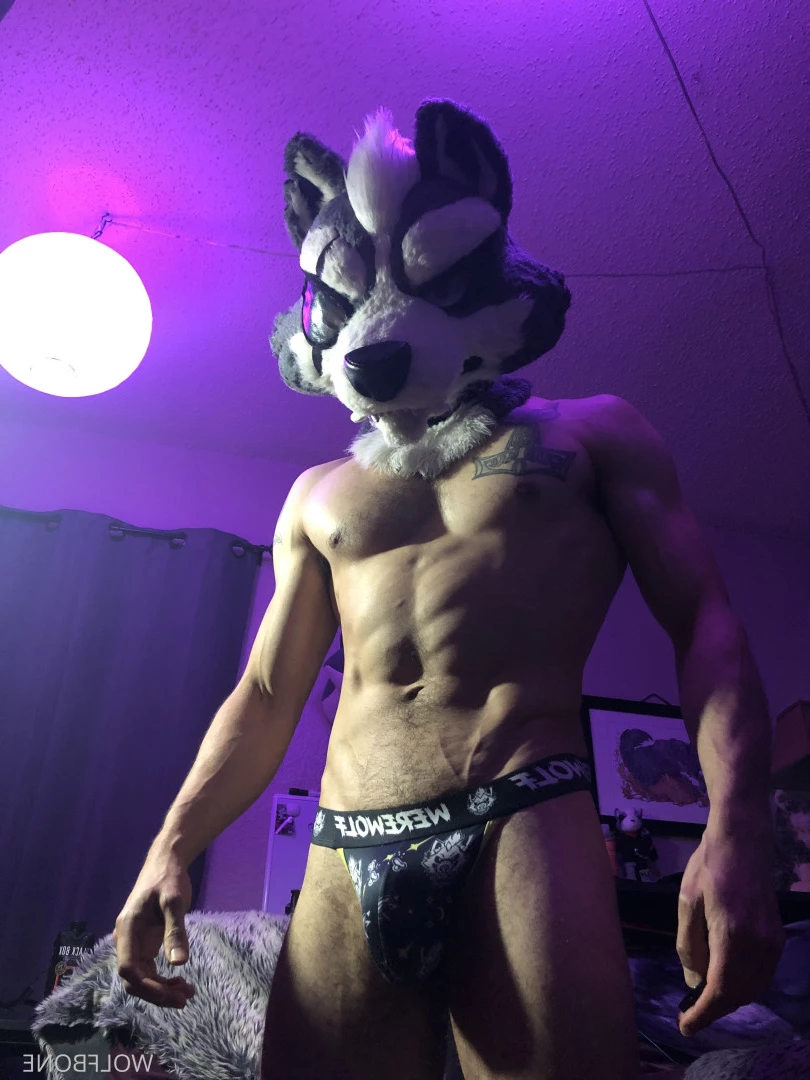 Mr. Wolf 🐺 🌟 [ frute_brute ] Onlyfans leaked photo 5824833 on Hotleaks.tv