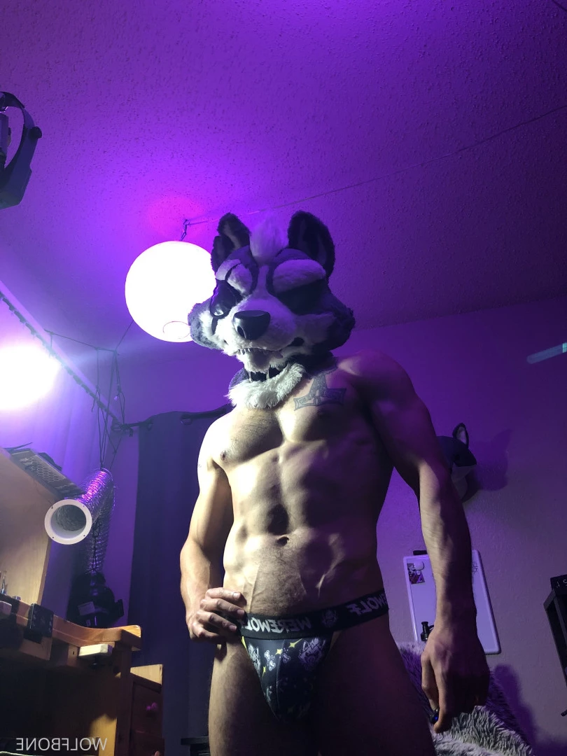 Mr. Wolf 🐺 🌟 [ frute_brute ] Onlyfans leaked photo 5824861 on Hotleaks.tv