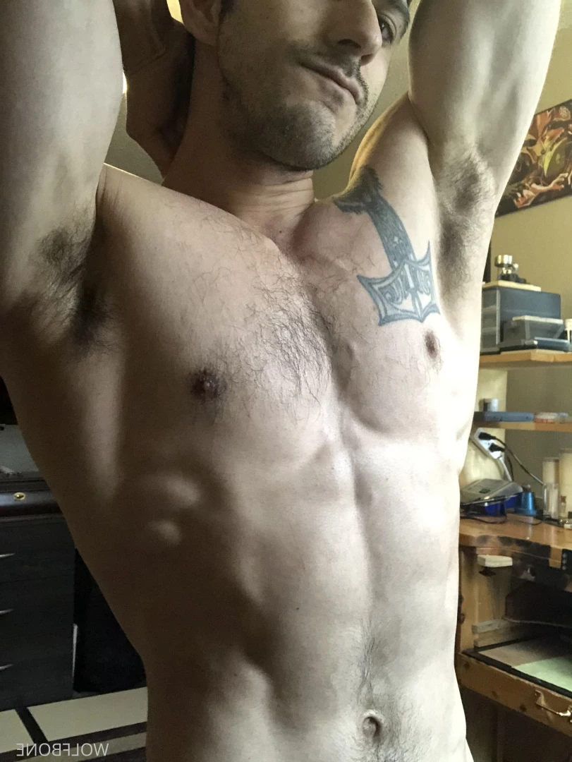 Mr. Wolf 🐺 🌟 [ frute_brute ] Onlyfans leaked photo 5824880 on Hotleaks.tv