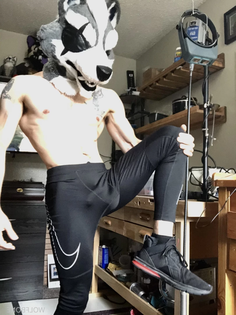 Mr. Wolf 🐺 🌟 [ frute_brute ] Onlyfans leaked photo 5824906 on Hotleaks.tv