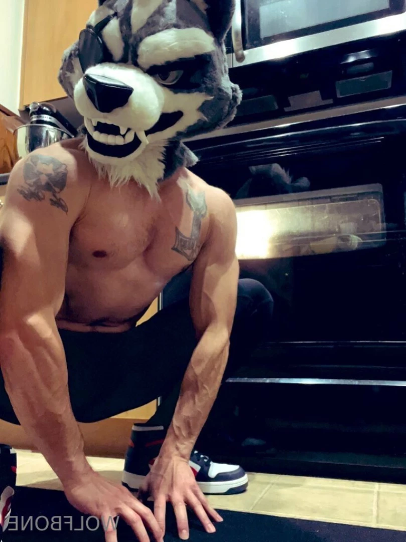 Mr. Wolf 🐺 🌟 [ frute_brute ] Onlyfans leaked photo 13212471 on Hotleaks.tv