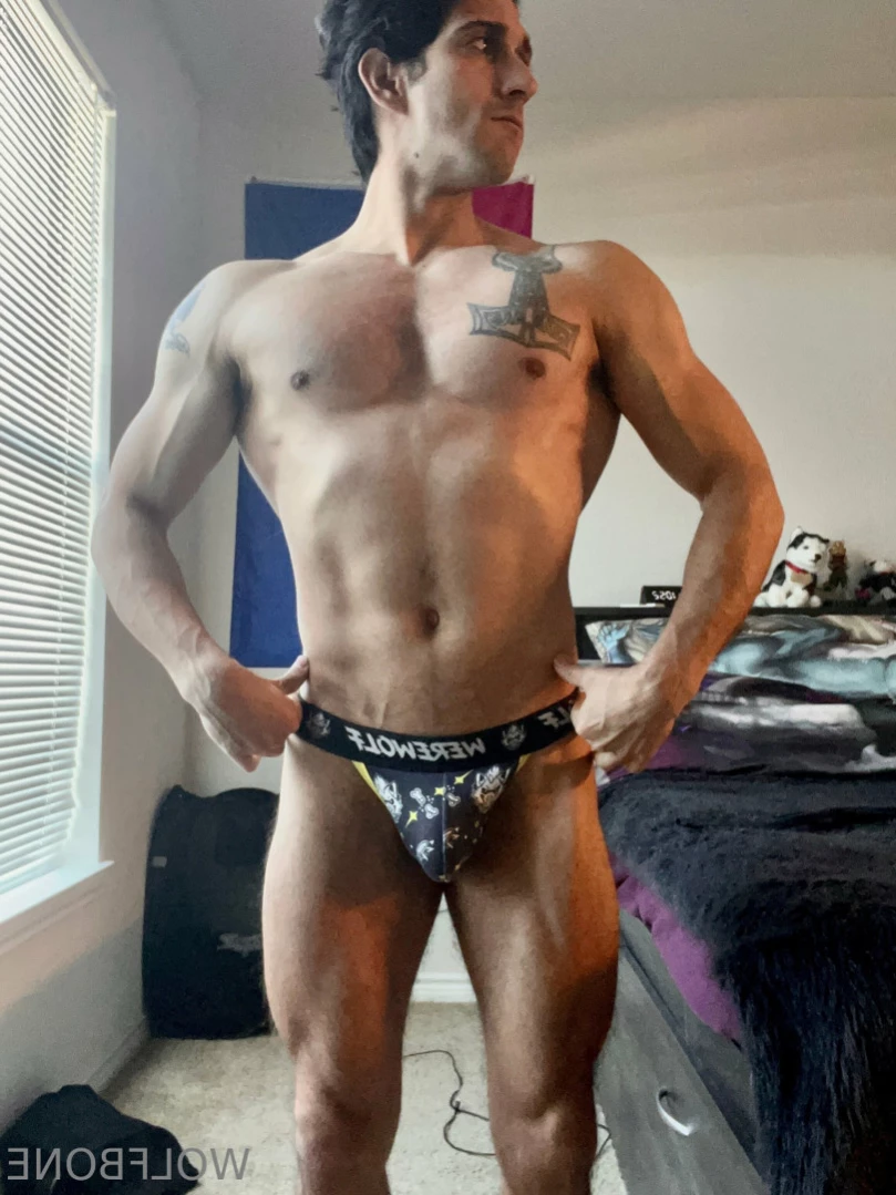 Mr. Wolf 🐺 🌟 [ frute_brute ] Onlyfans leaked photo 13332369 on Hotleaks.tv