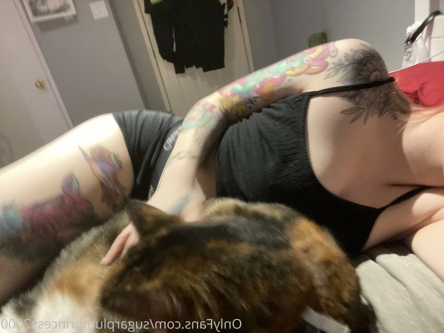 Mouse [ getmeoffpls ] Onlyfans leaked photo 3373807 on Hotleaks.tv