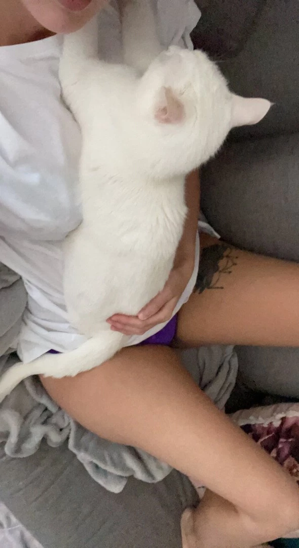 boobsandthings Onlyfans leaked photo 3293864 on Hotleaks.tv