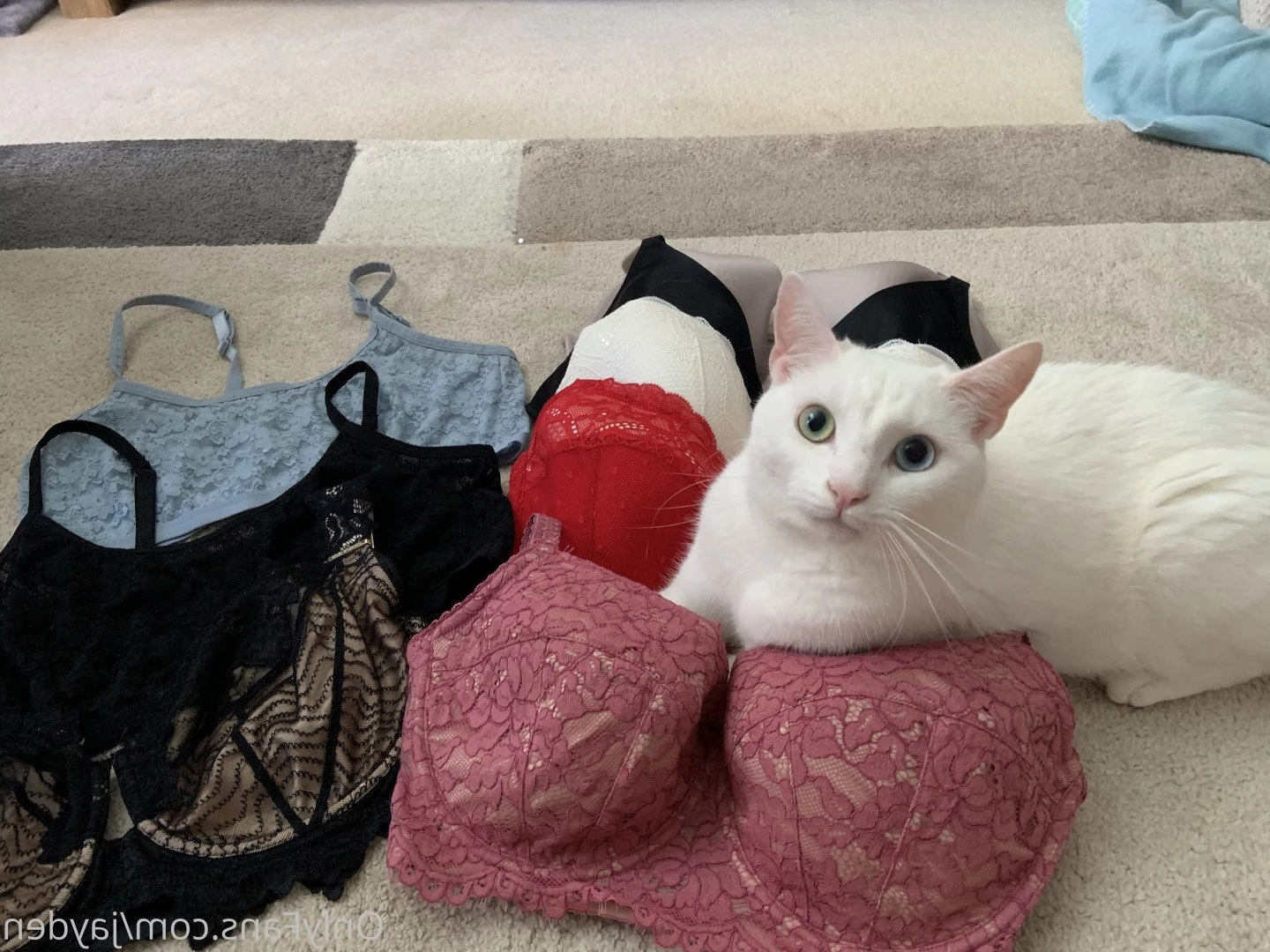boobsandthings Onlyfans leaked photo 3296697 on Hotleaks.tv