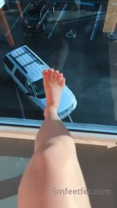15985629