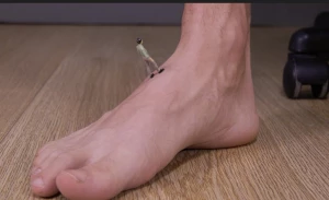 3501775