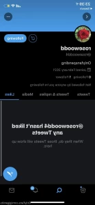 9533116
