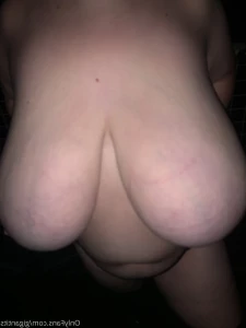 9533198