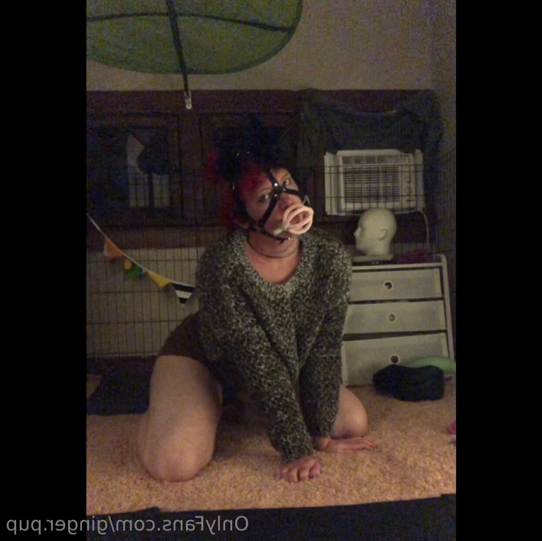 ginger.pup Onlyfans leaked photo 7720635 on Hotleaks.tv