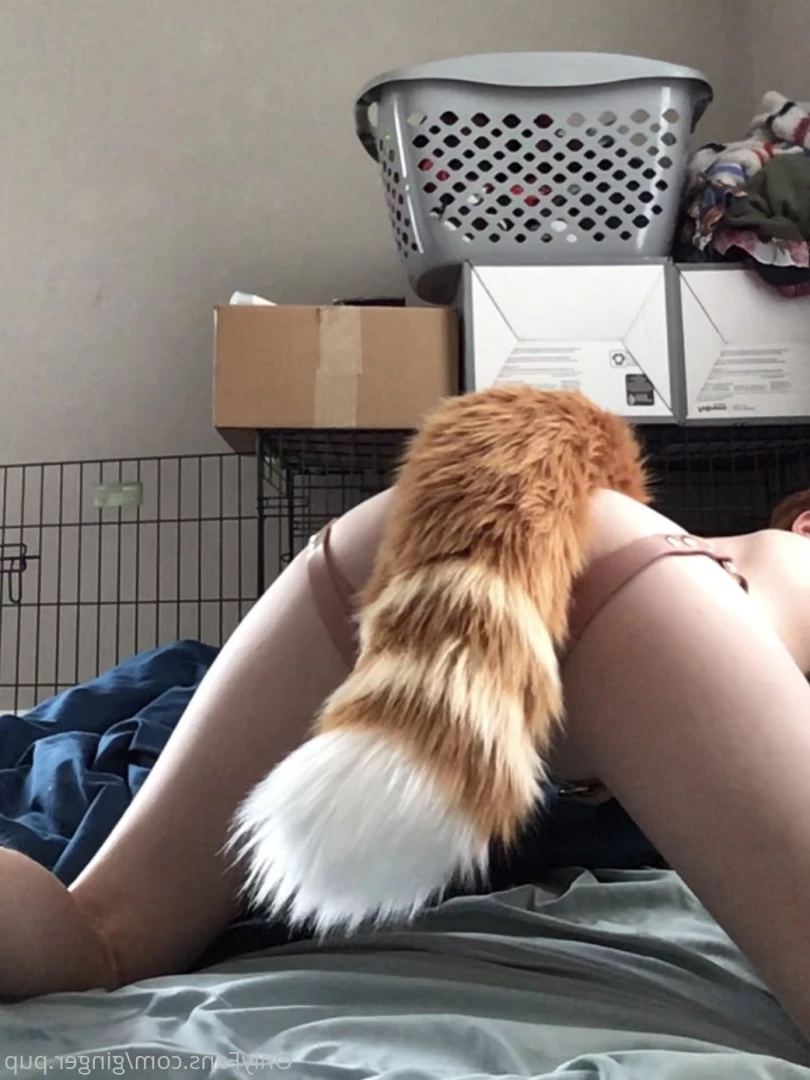 ginger.pup Onlyfans leaked photo 7720641 on Hotleaks.tv