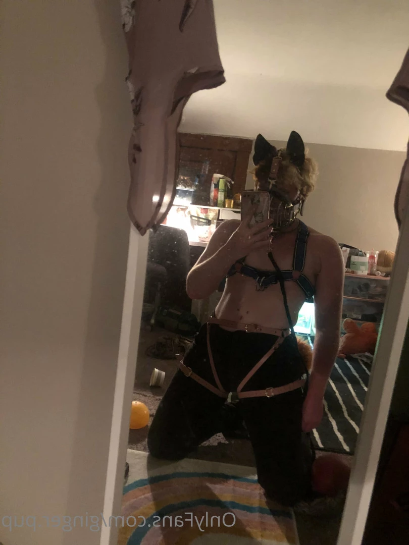 ginger.pup Onlyfans leaked photo 7720656 on Hotleaks.tv