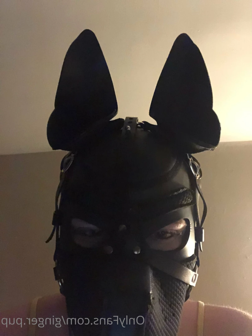 ginger.pup Onlyfans leaked photo 7720790 on Hotleaks.tv