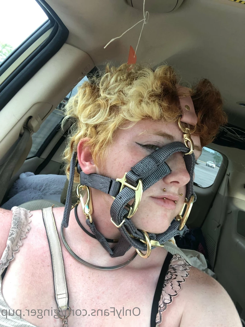 ginger.pup Onlyfans leaked photo 7721071 on Hotleaks.tv