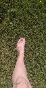 3388491