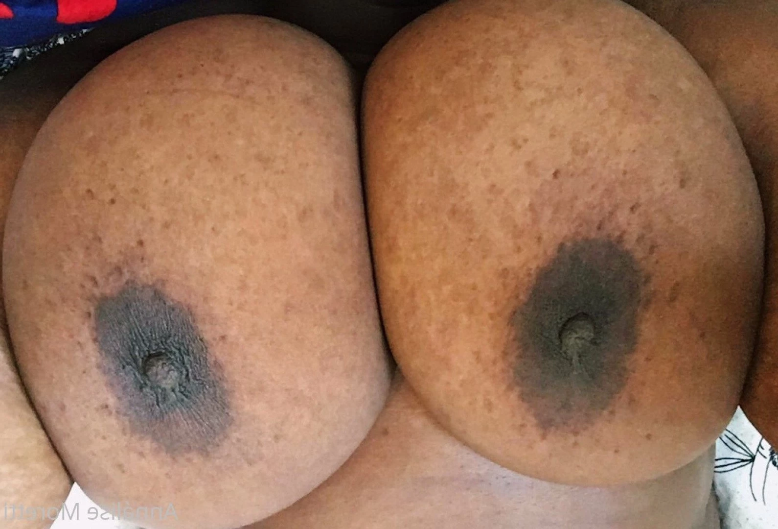 Annálise Moretti [ girluncensored ] Onlyfans leaked photo 3392320 on Hotleaks.tv
