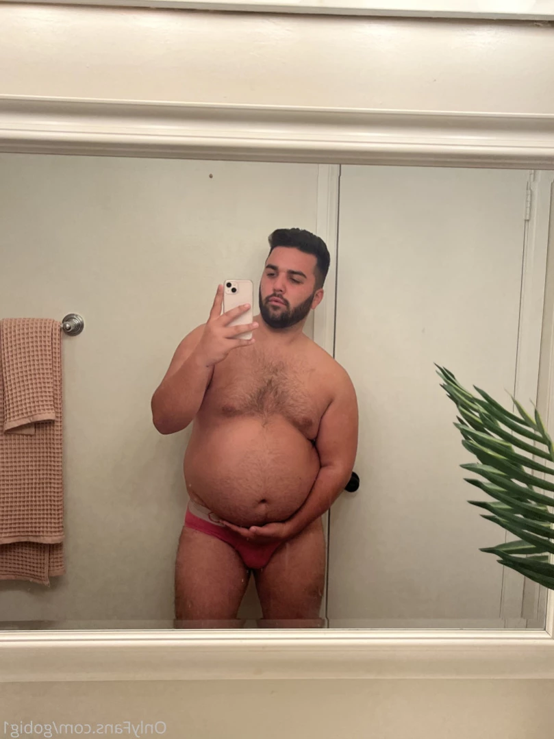 gobig1 Onlyfans leaked photo 11800179 on Hotleaks.tv