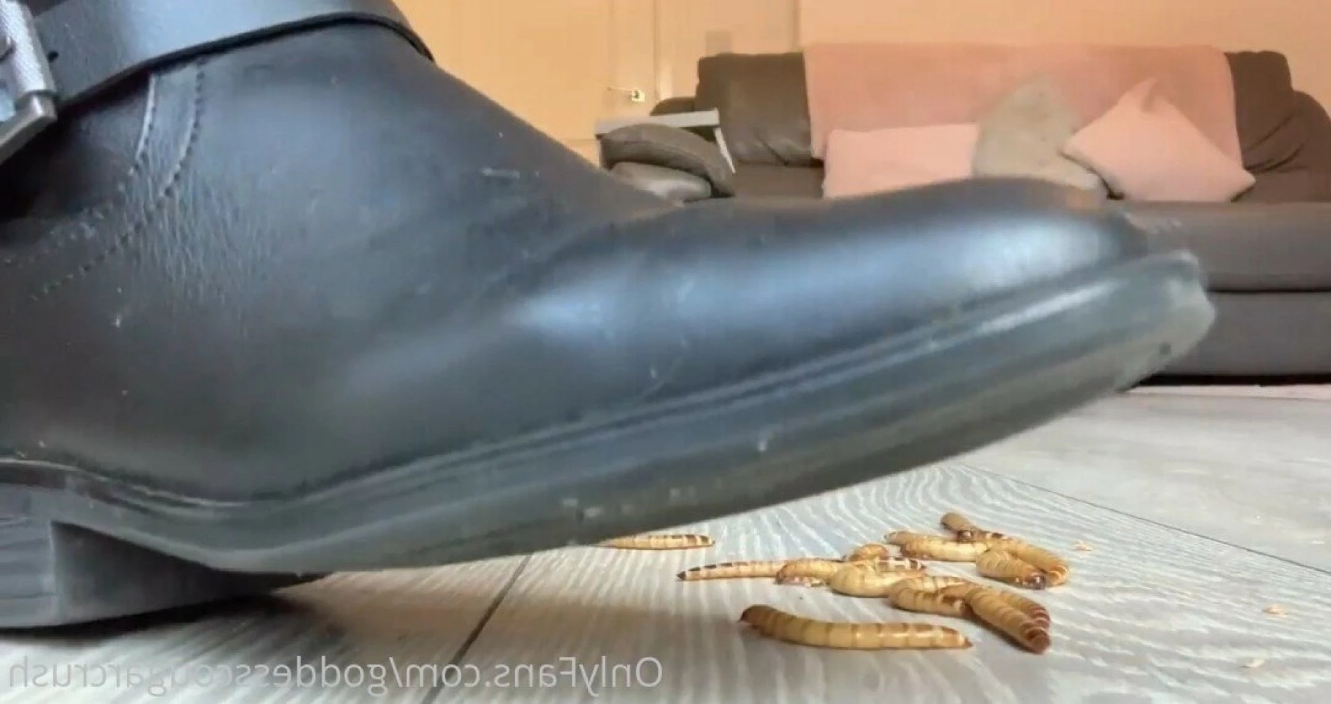 Goddess Cougar [ goddesscougarcrush ] Onlyfans leaked photo 3308114 on Hotleaks.tv