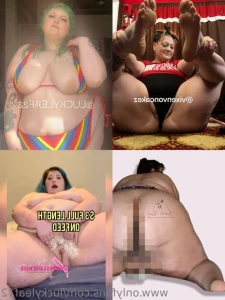 11825481