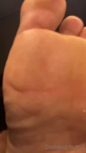10631664