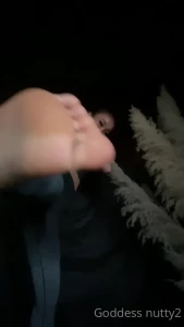 10631678