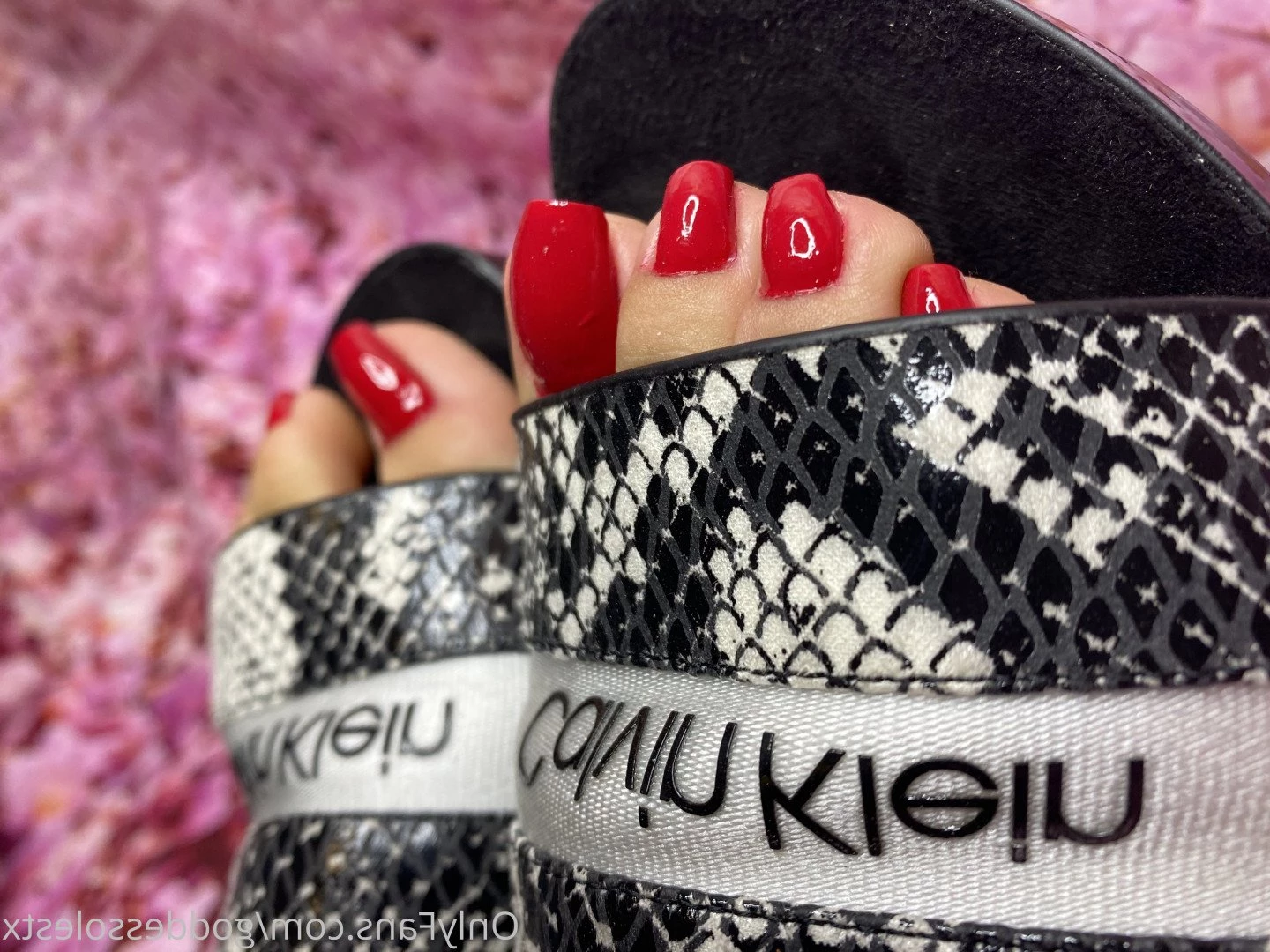 Goddessoles [ goddessolestx ] Onlyfans leaked photo 3412842 on Hotleaks.tv
