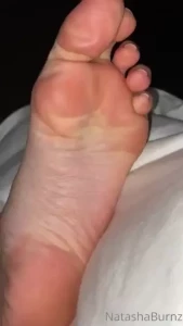 18312606