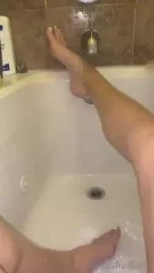 18312619