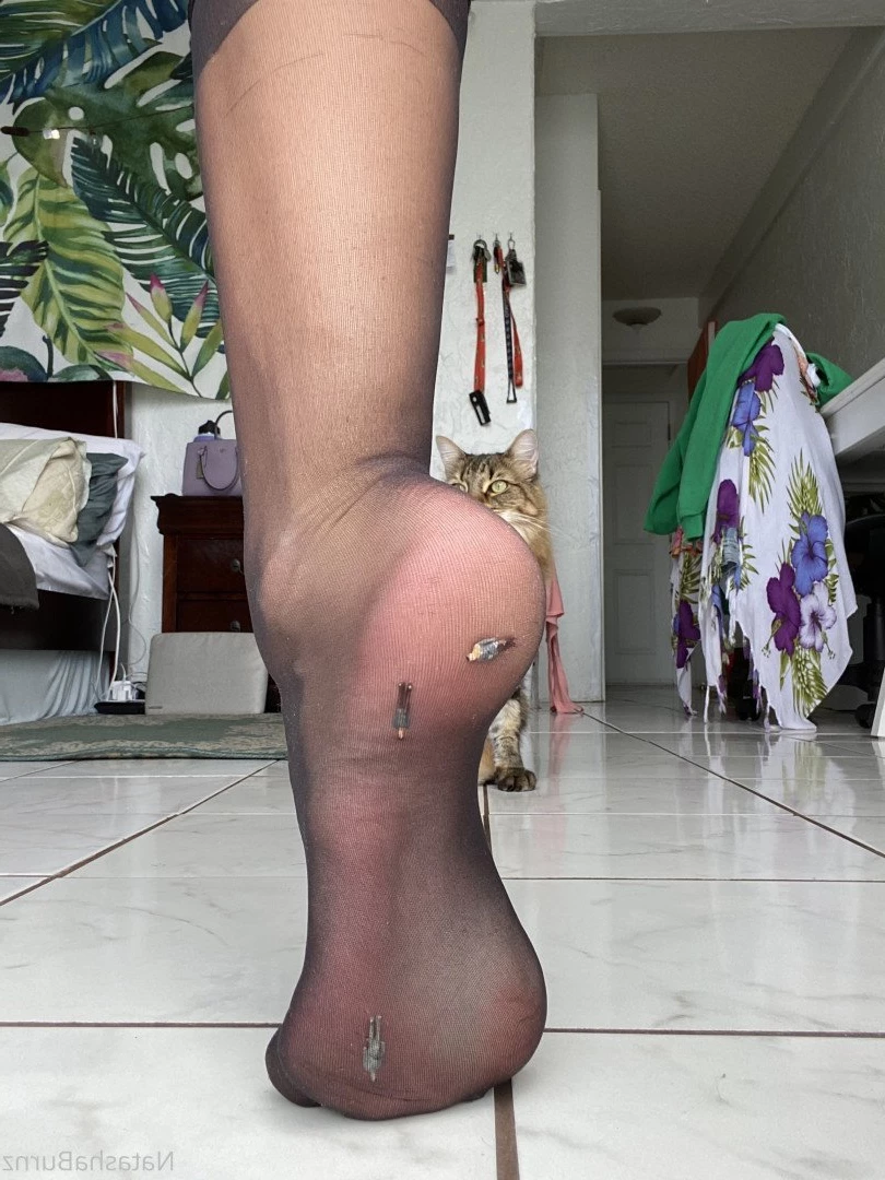 Goddess Tall Tasha [ goddesstalltasha ] Onlyfans leaked photo 3286560 on Hotleaks.tv