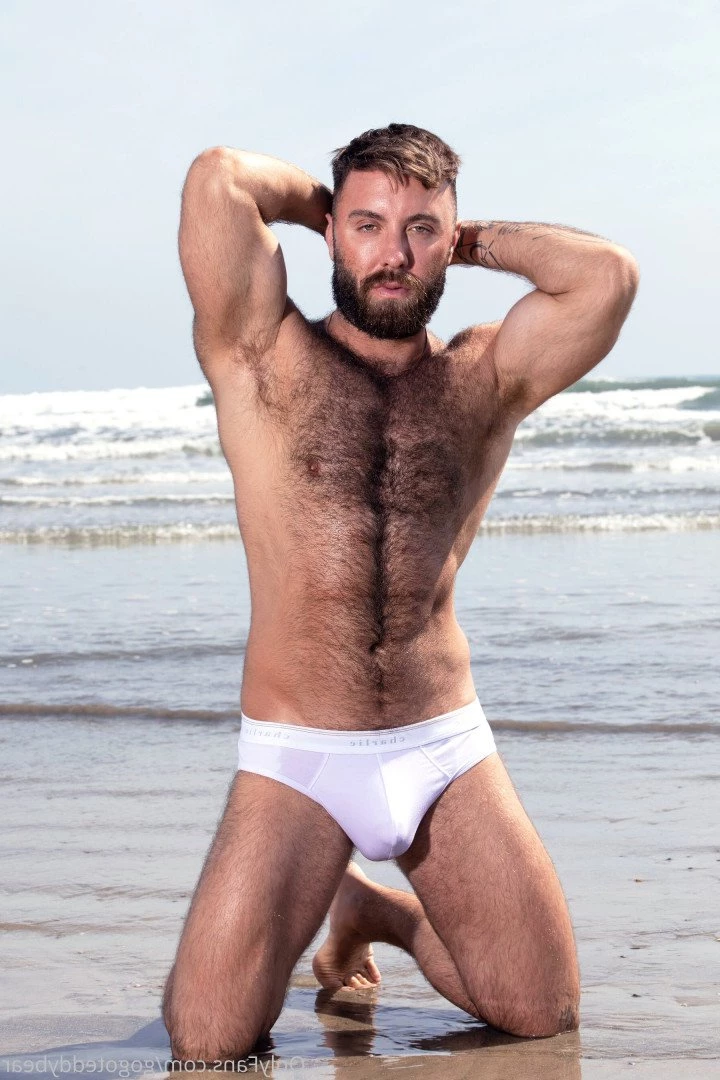 Teddy Bear [ gogoteddybear ] Onlyfans leaked photo 3346391 on Hotleaks.tv