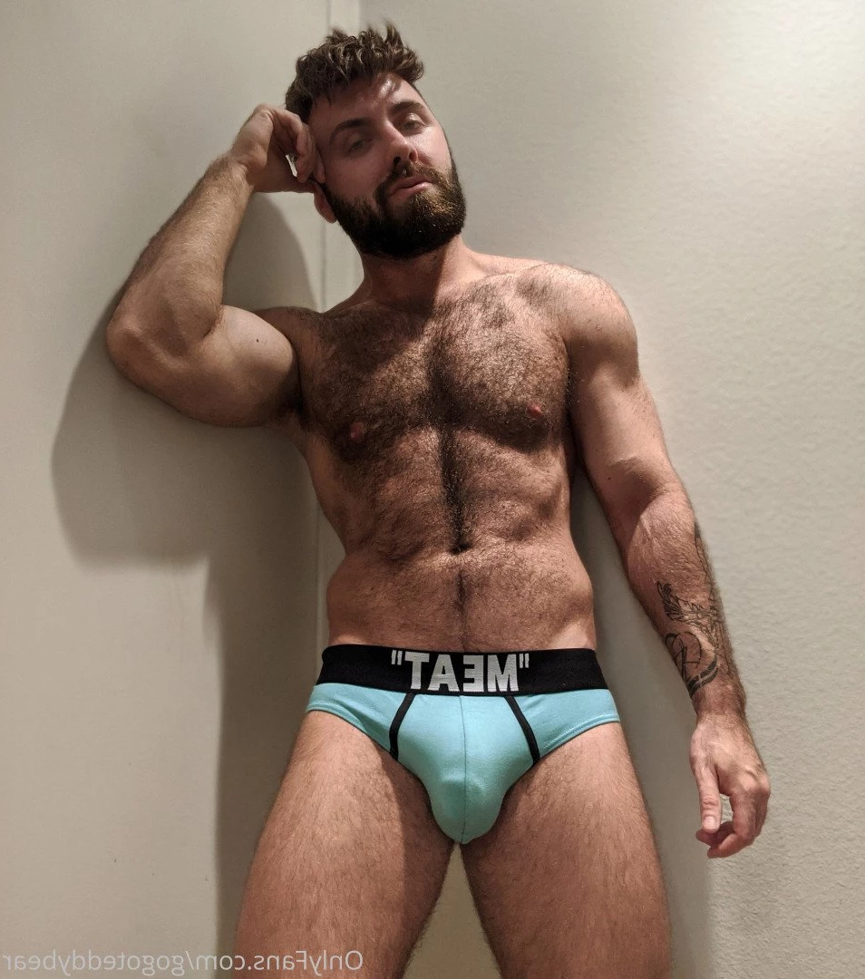 Teddy Bear [ gogoteddybear ] Onlyfans leaked photo 3347157 on Hotleaks.tv